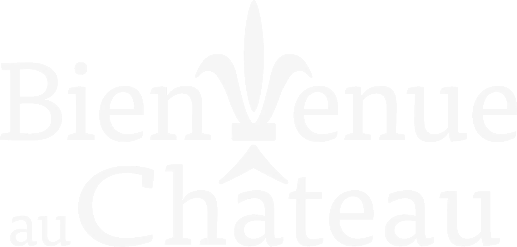 Logo Bienvenue au Château